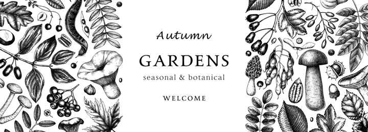 Hand sketched autumn banner design. Elegant and trendy botanical template with autumn leaves, pumpkins, berries, mushrooms, nuts drawings. Vintage plants template. Autumn food background.
